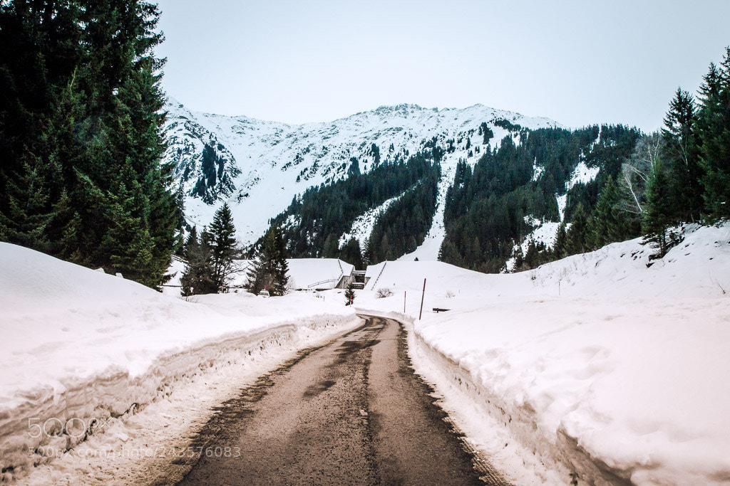 Canon EOS 60D sample photo. The path to the photography