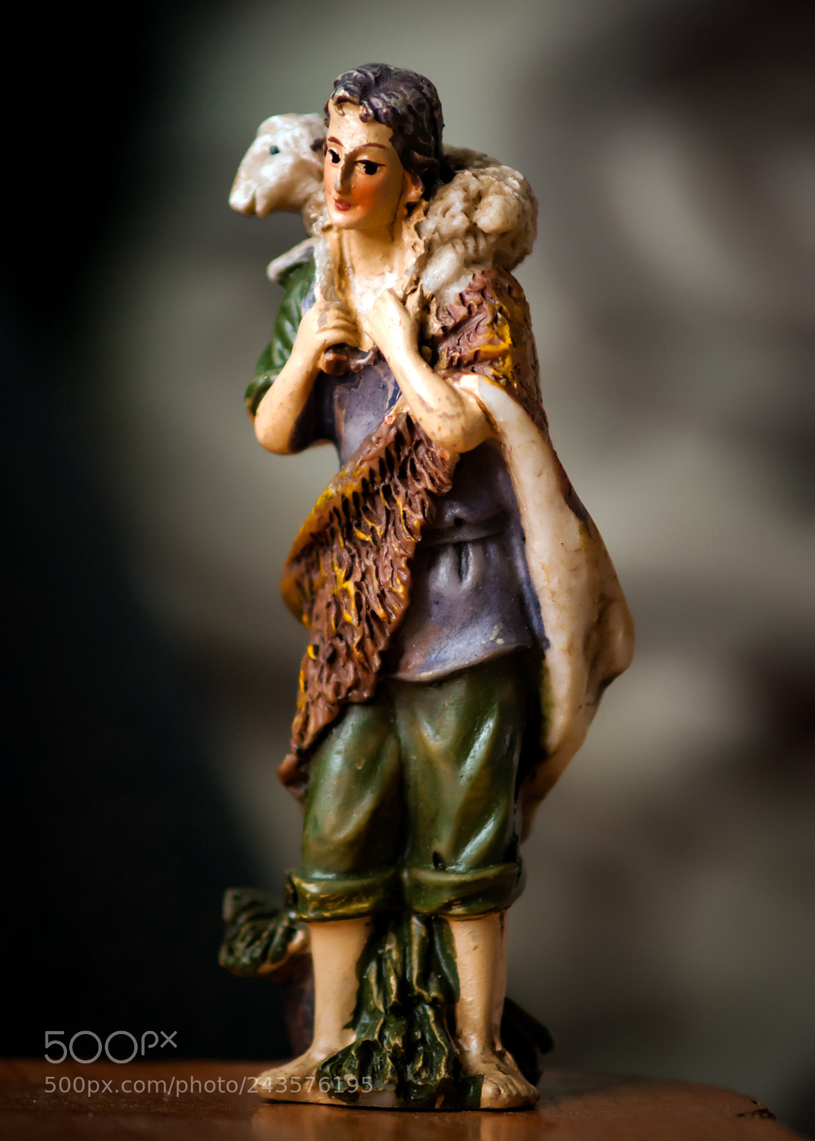 Sony Alpha DSLR-A230 sample photo. Shepherd photography