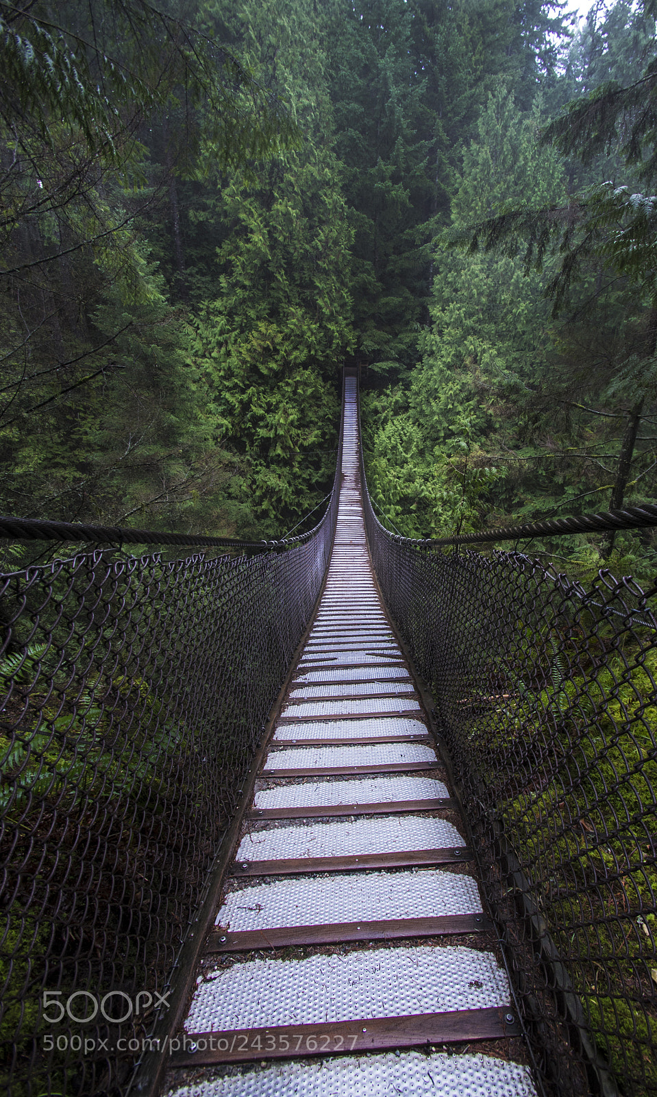 Pentax K-r sample photo. Bridge photography