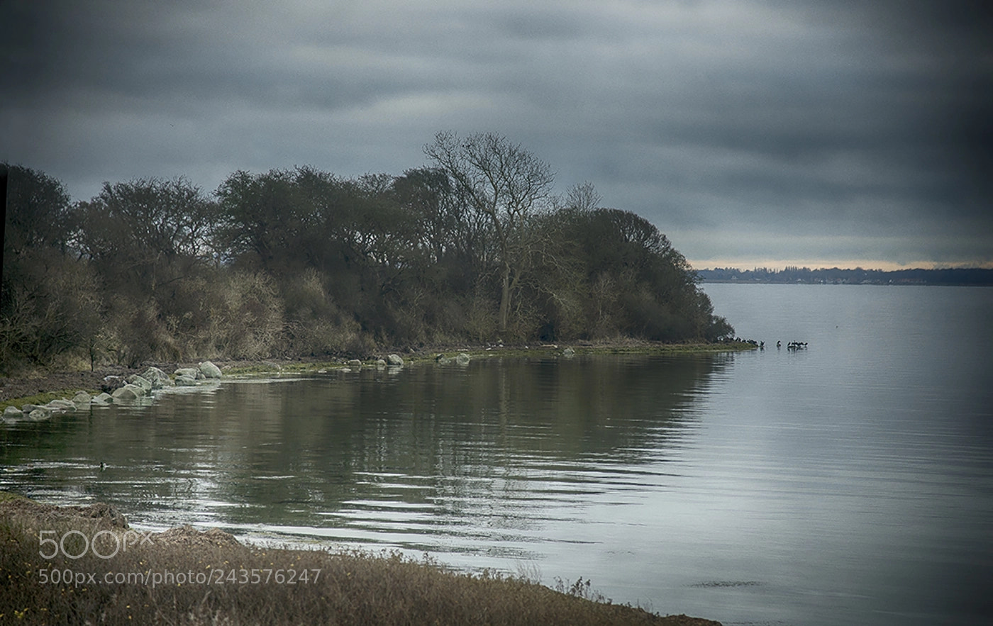 Nikon D800 sample photo. Silence water photography