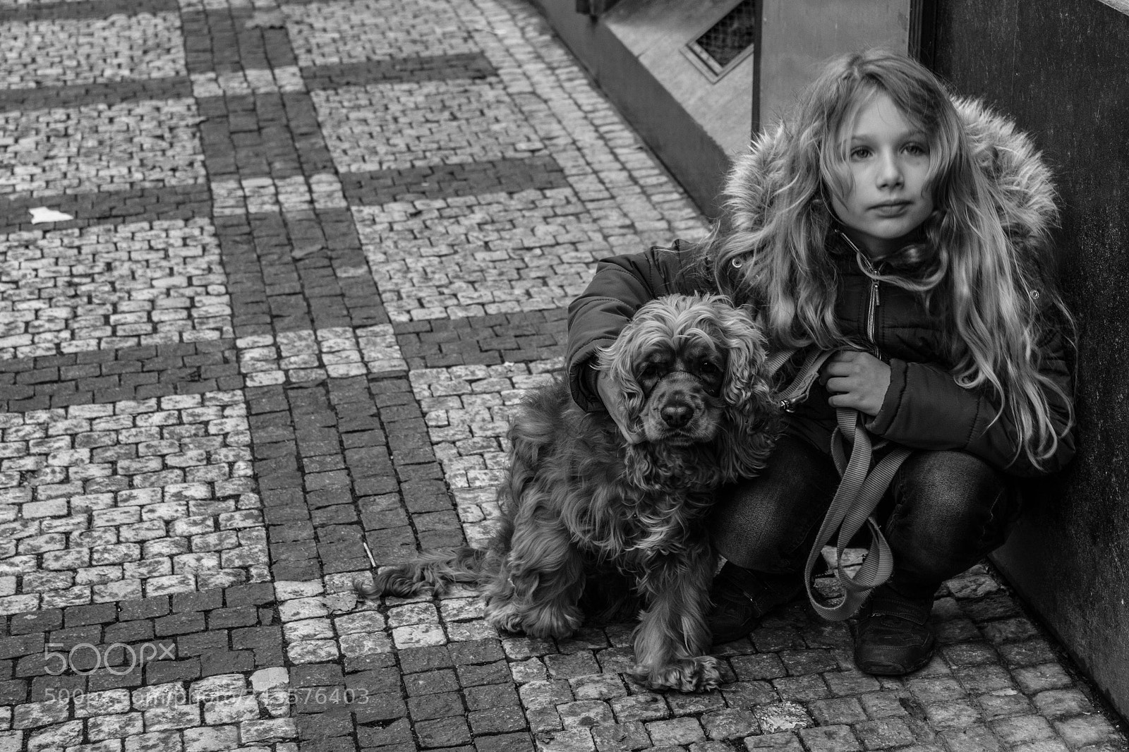 Canon EOS 60D sample photo. Untitled photography