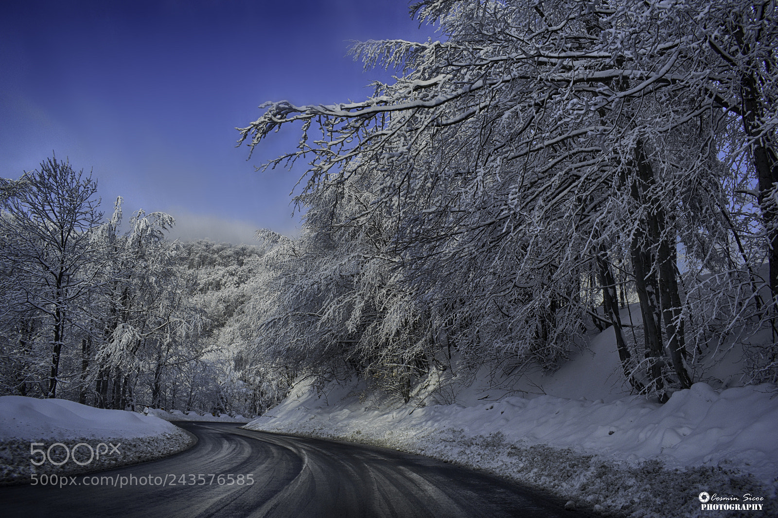 Nikon D5600 sample photo. Winter in romania photography