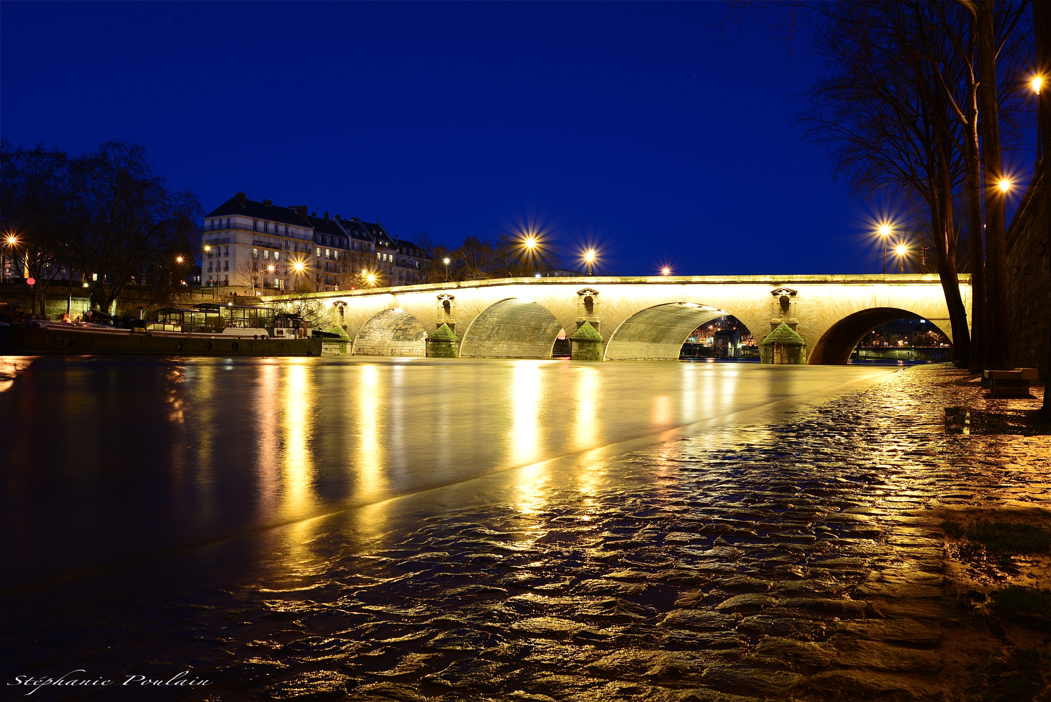 Nikon D610 sample photo. Le pont marie à l'heure bleue photography