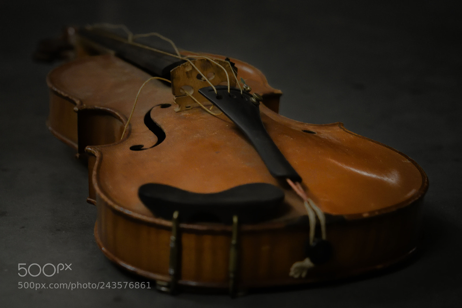 Nikon D500 sample photo. Old violin photography