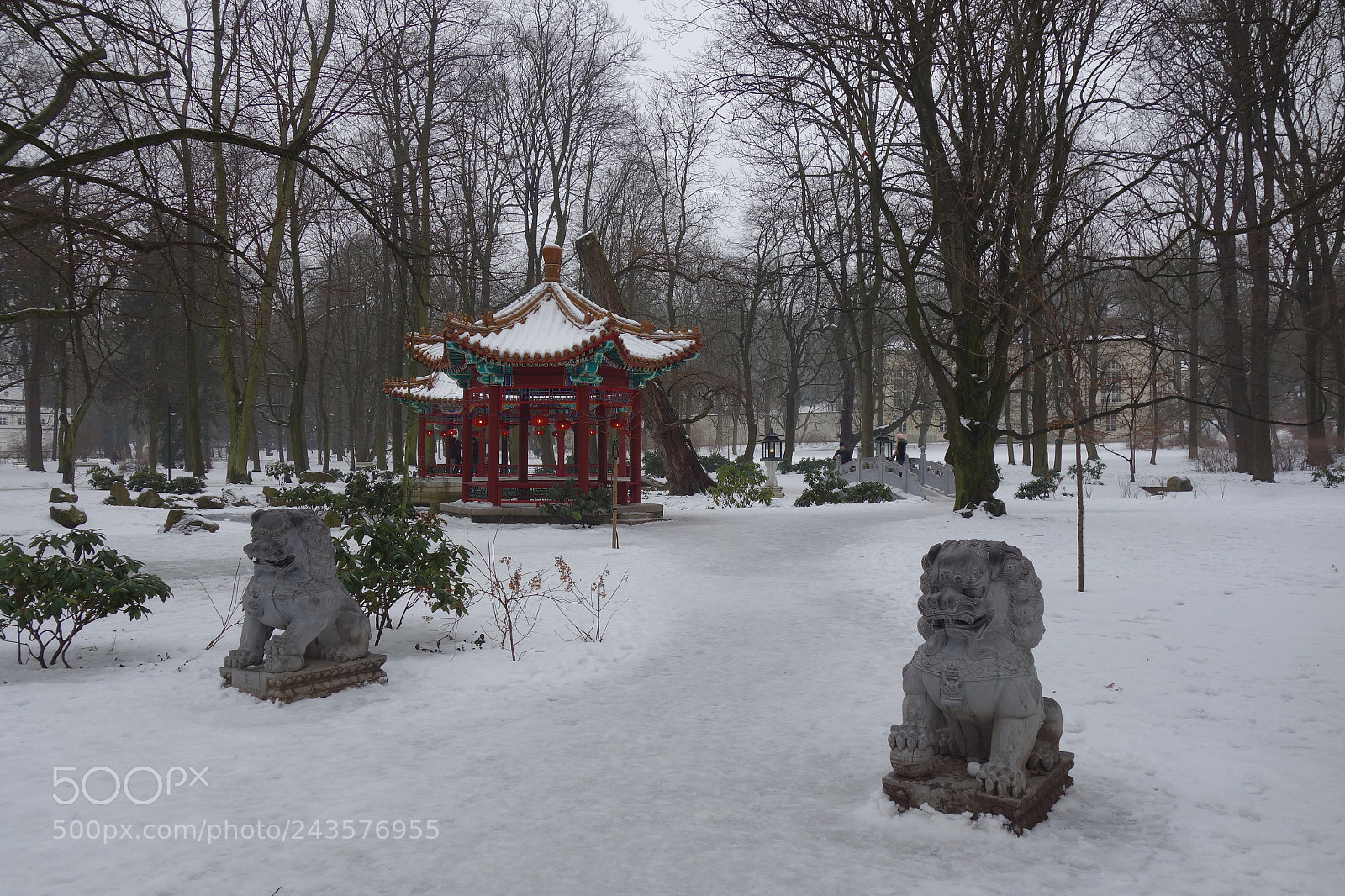 Sony Cyber-shot DSC-RX100 sample photo. Lazienki park with snow photography