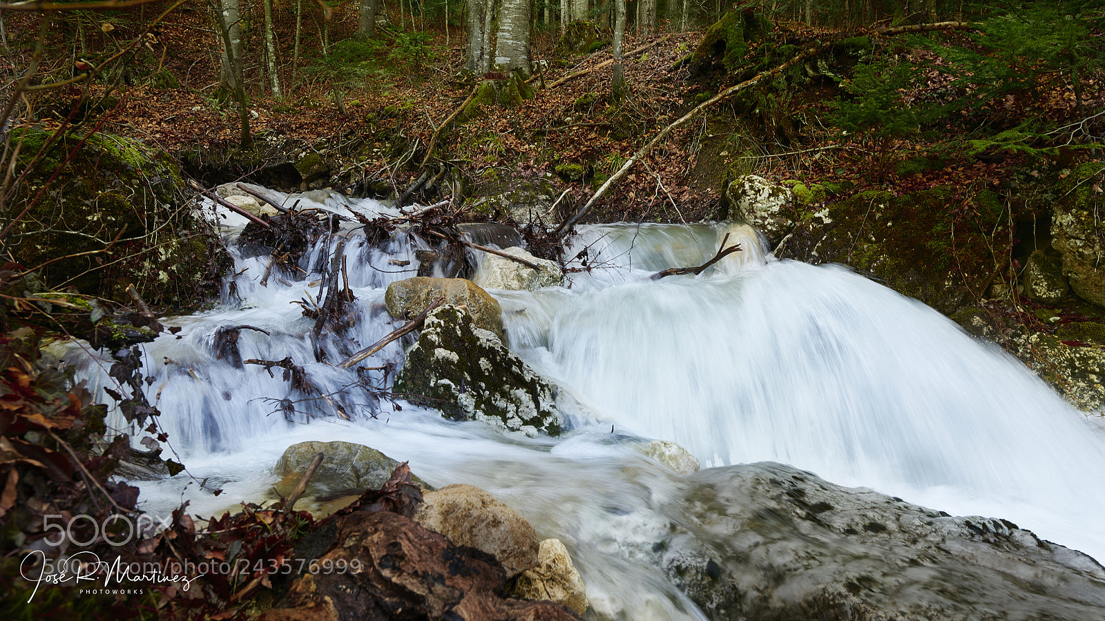 Nikon D850 sample photo. 20180123_0008_2.jpg photography