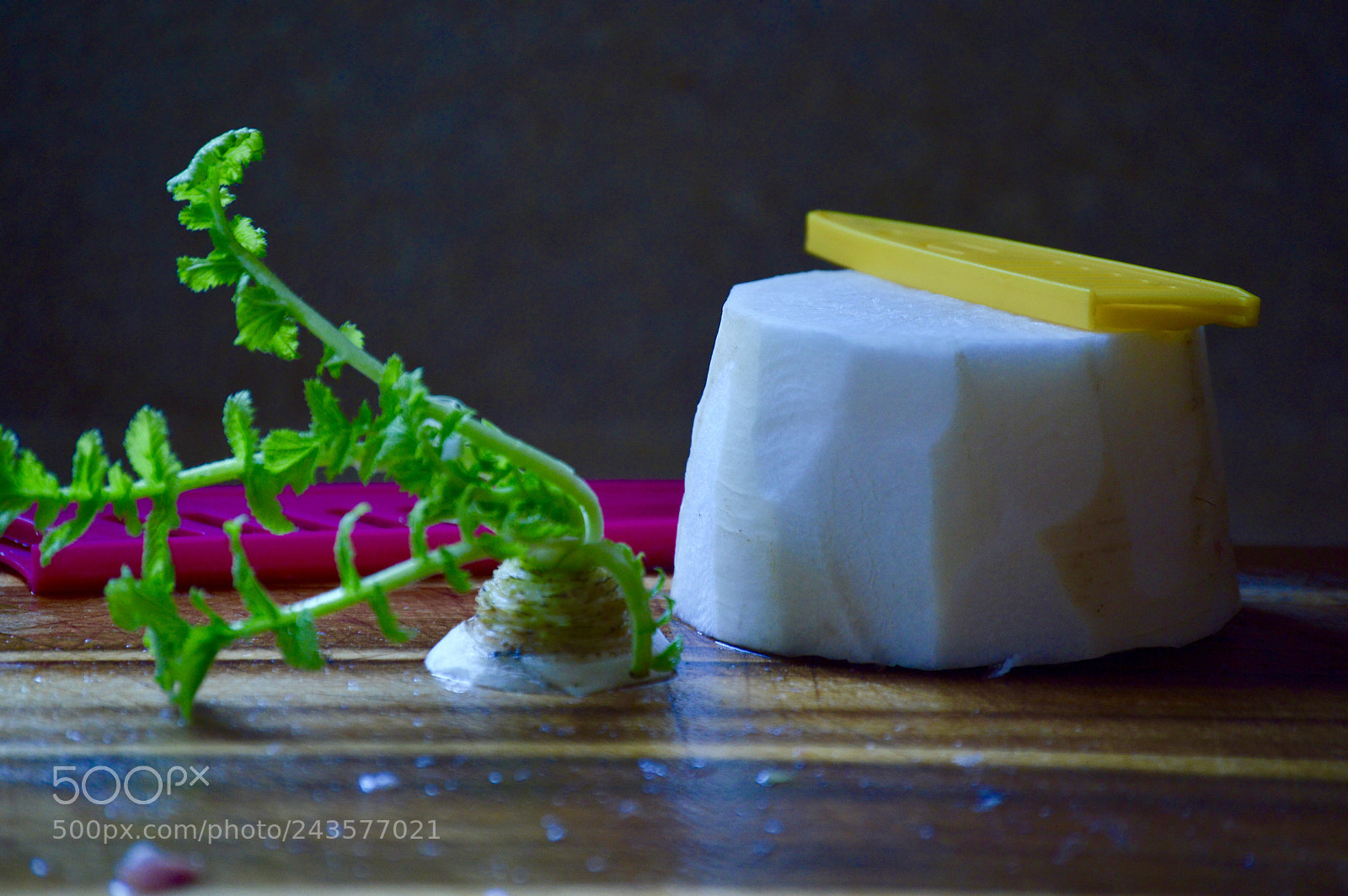 Nikon D3200 sample photo. Radish photography
