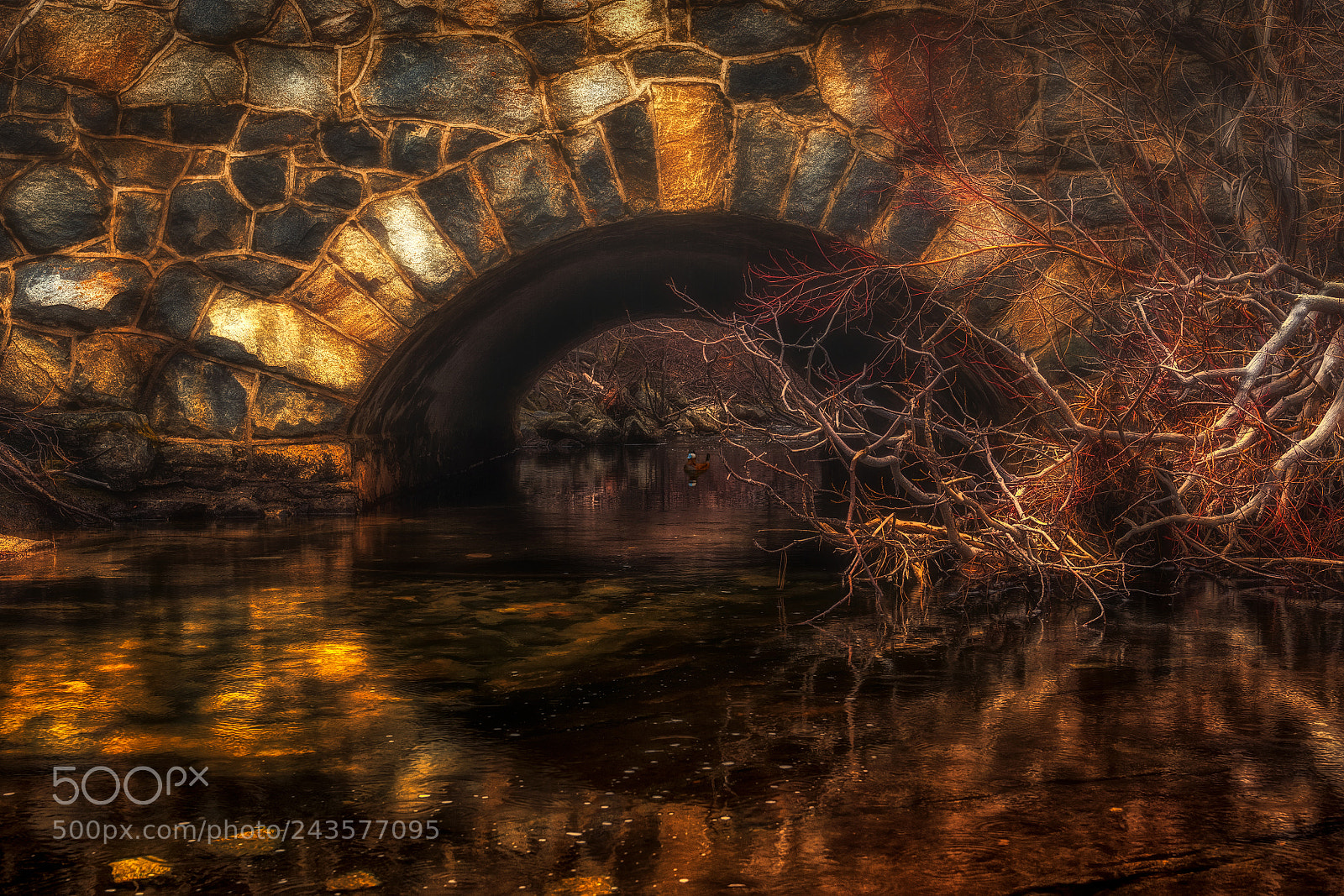 Nikon D5 sample photo. Water under the bridge photography