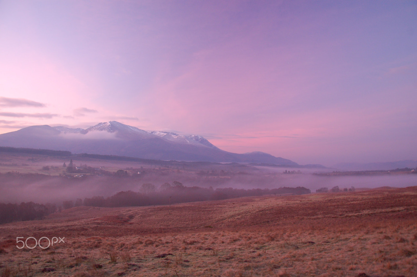 Nikon D50 sample photo. Winter colour`s photography