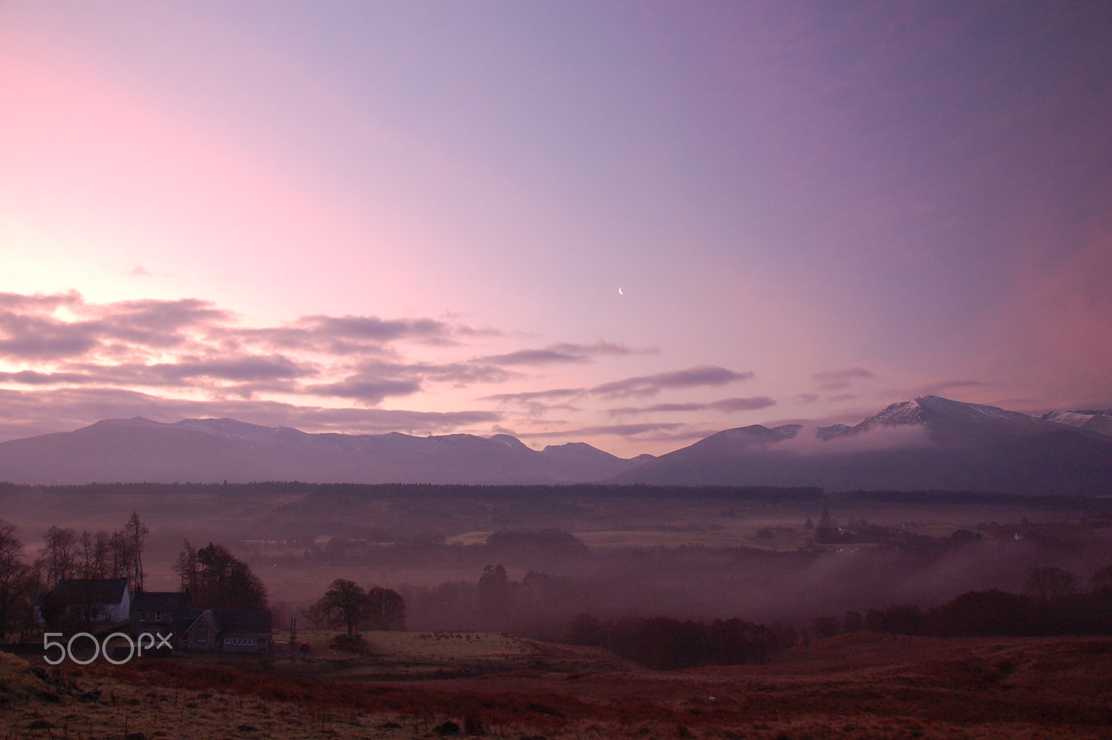 Nikon D50 sample photo. Cold & frosty morning photography