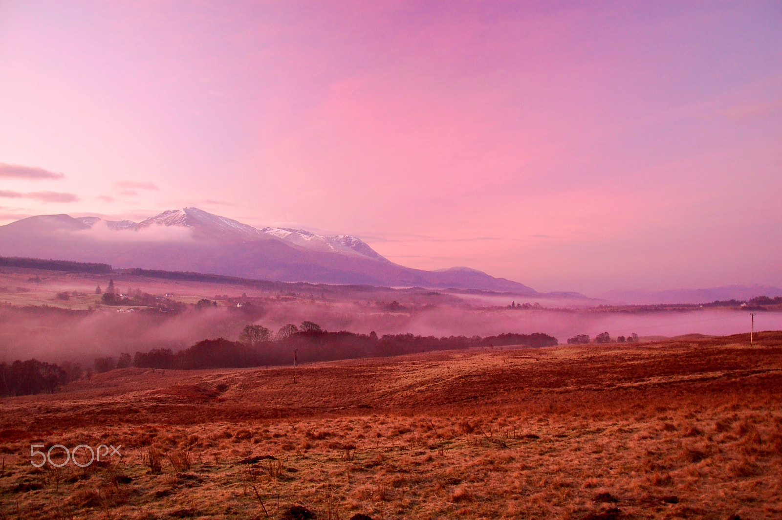 Nikon D50 sample photo. Colour of morning photography