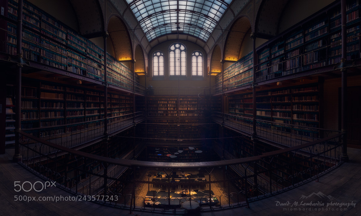 Sony a7R sample photo. Library photography