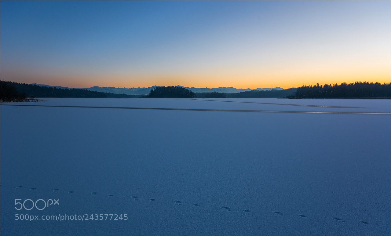 Nikon D7100 sample photo. °°° spuren im schnee °°° photography