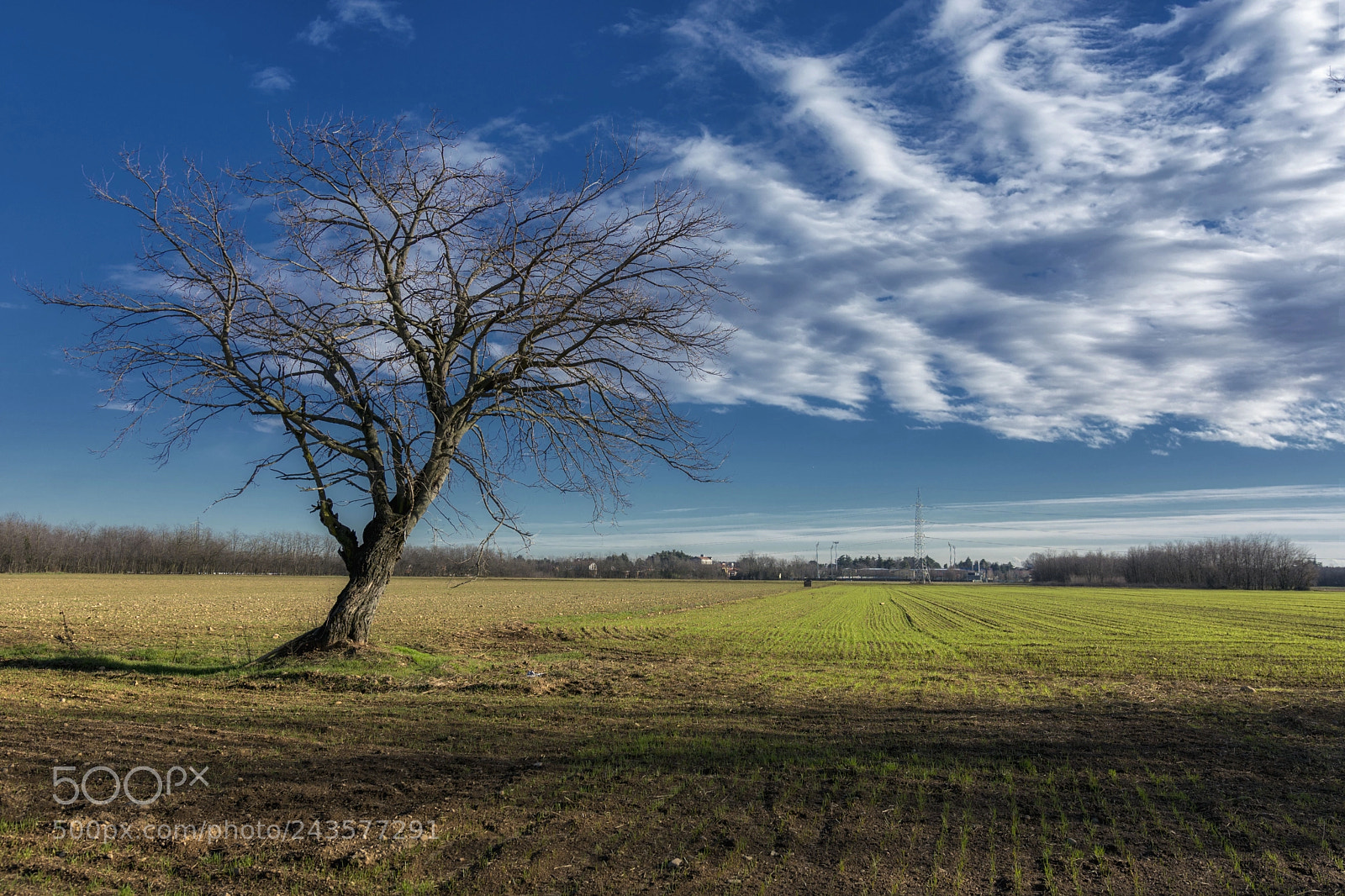 Nikon D7100 sample photo. Blue winter sky photography