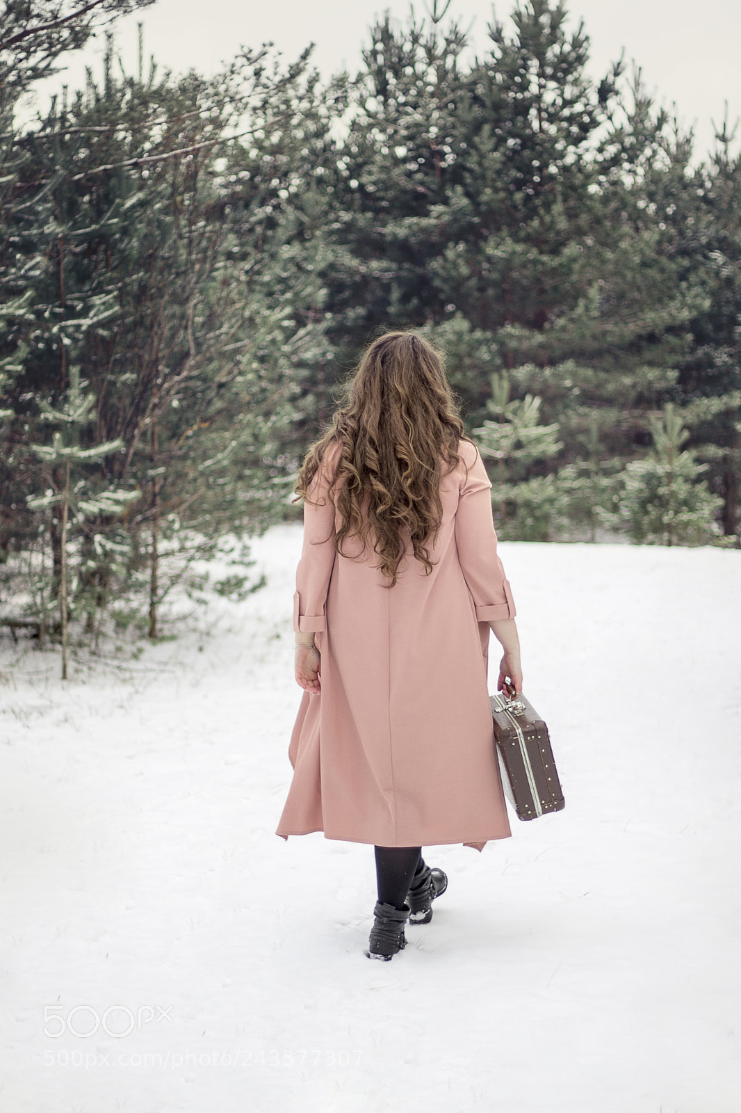 Canon EOS 77D (EOS 9000D / EOS 770D) sample photo. Forest in snow photography