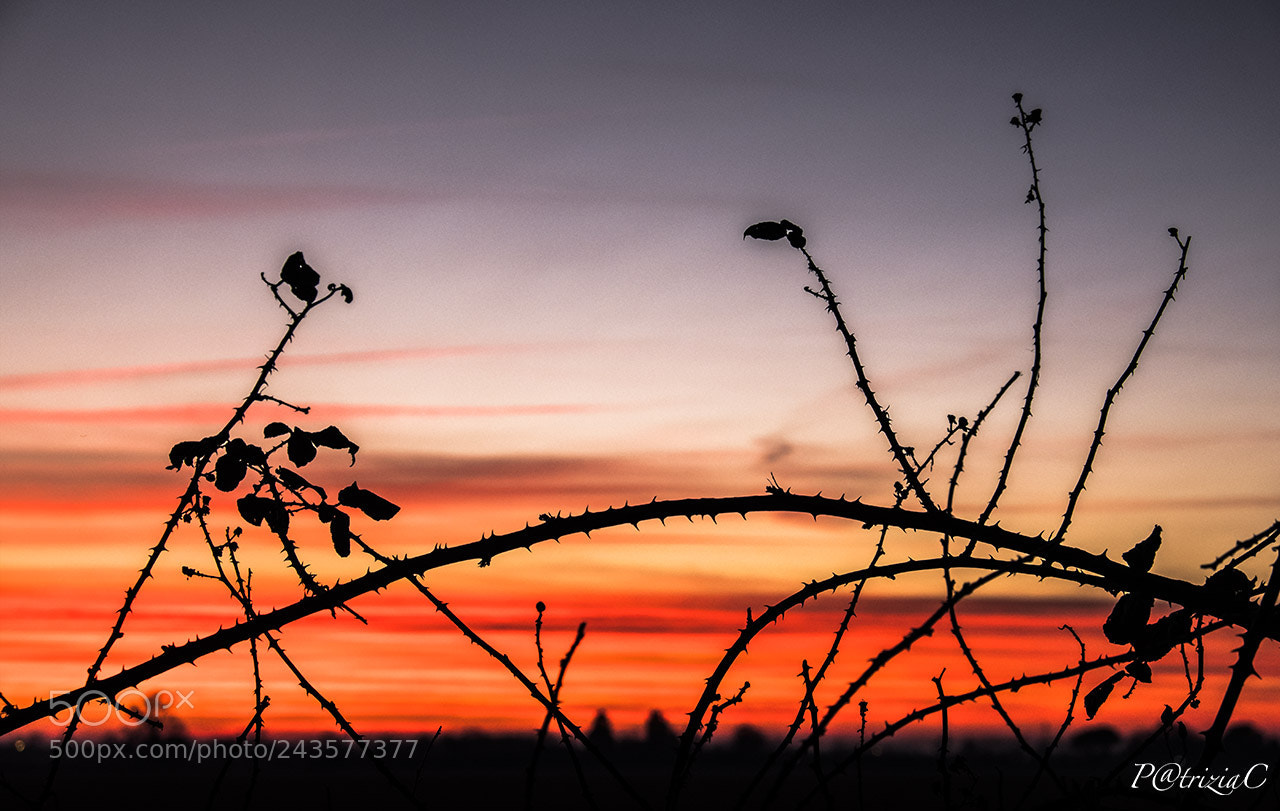 Fujifilm X-T2 sample photo. #tramontofrairovi# photography