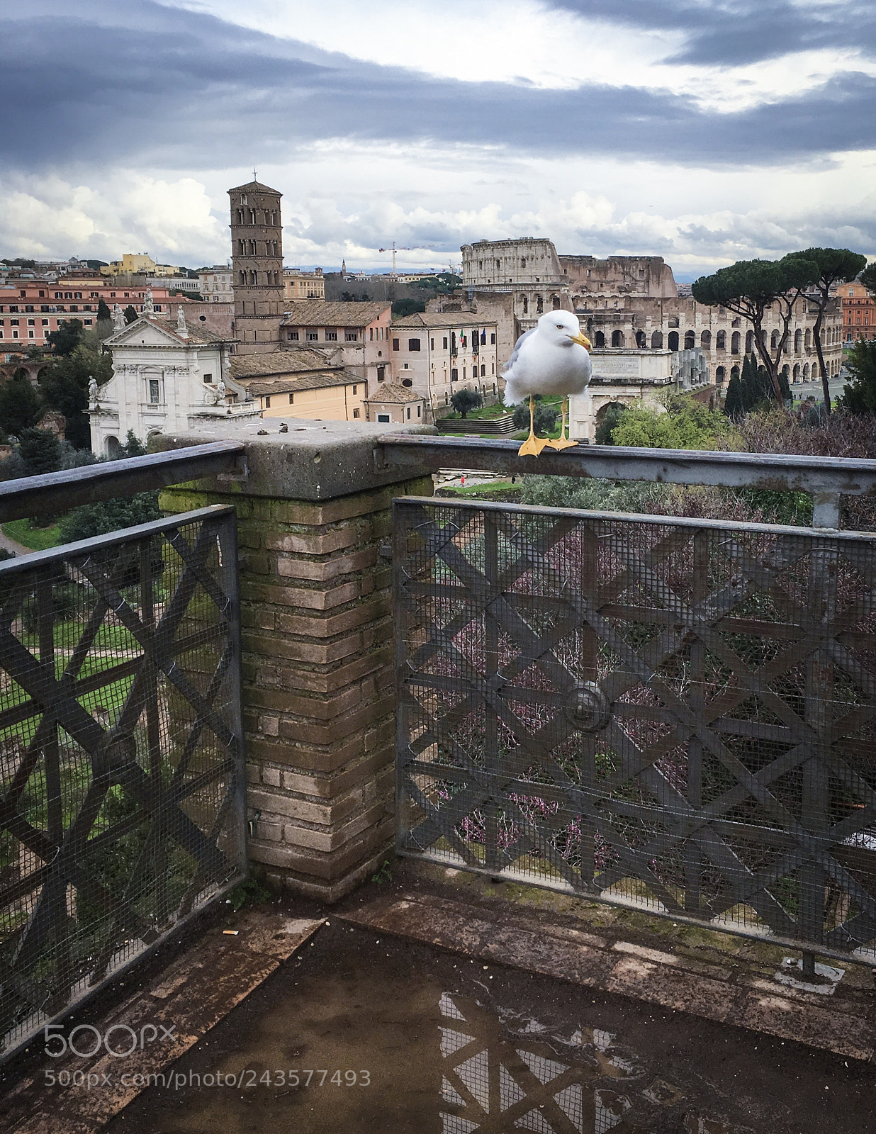 Apple iPhone 6s sample photo. Roma forum photography