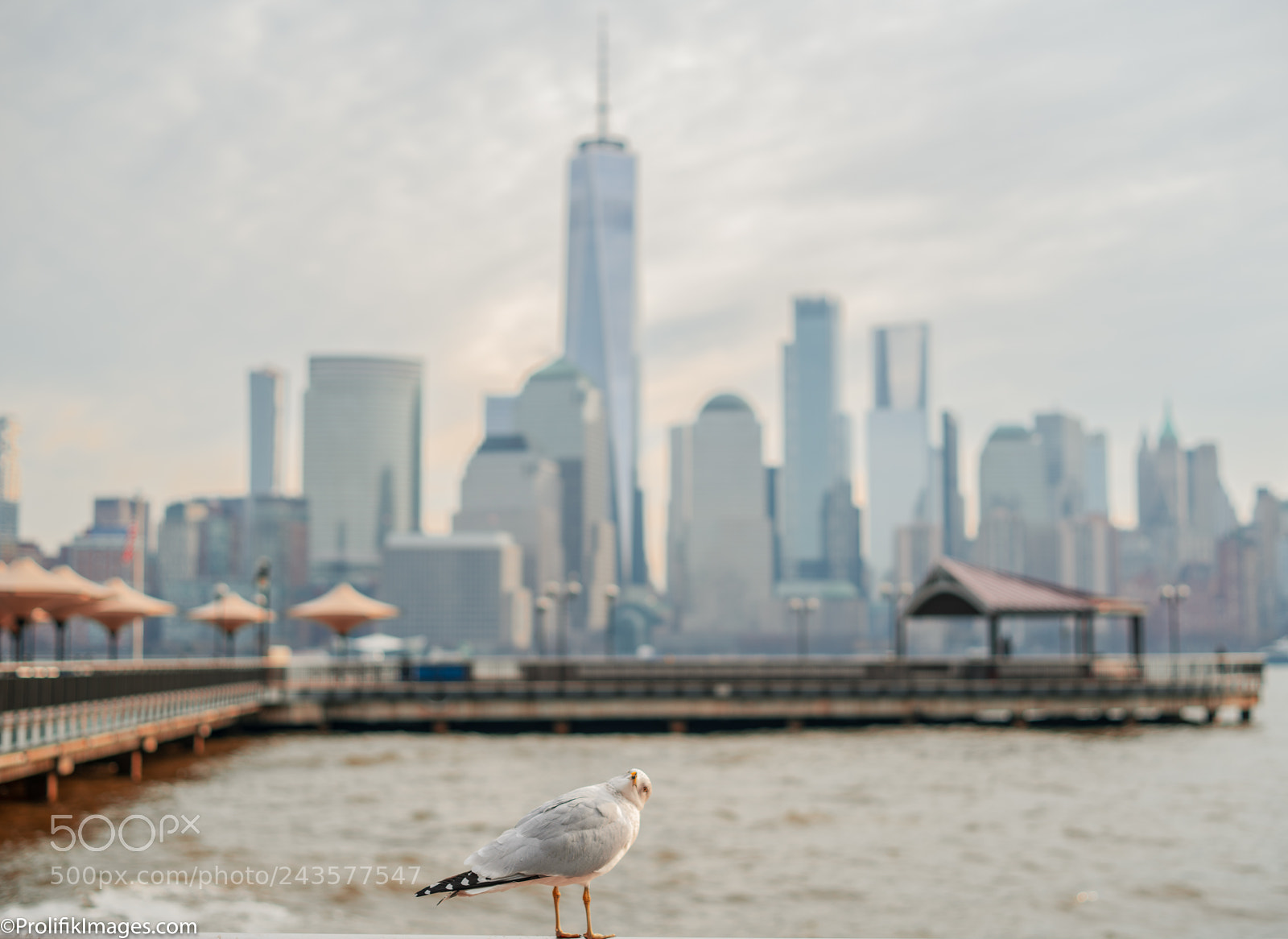 Sony a7R II sample photo. May i help you ? photography
