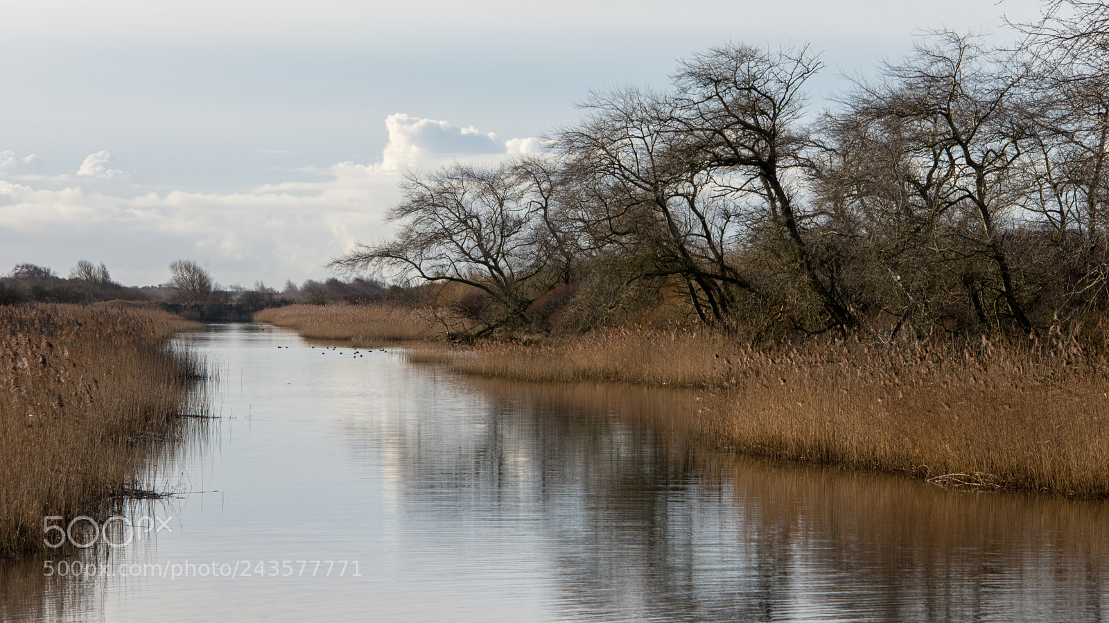 Nikon D610 sample photo. Amsterdamse waterleidingduinen photography