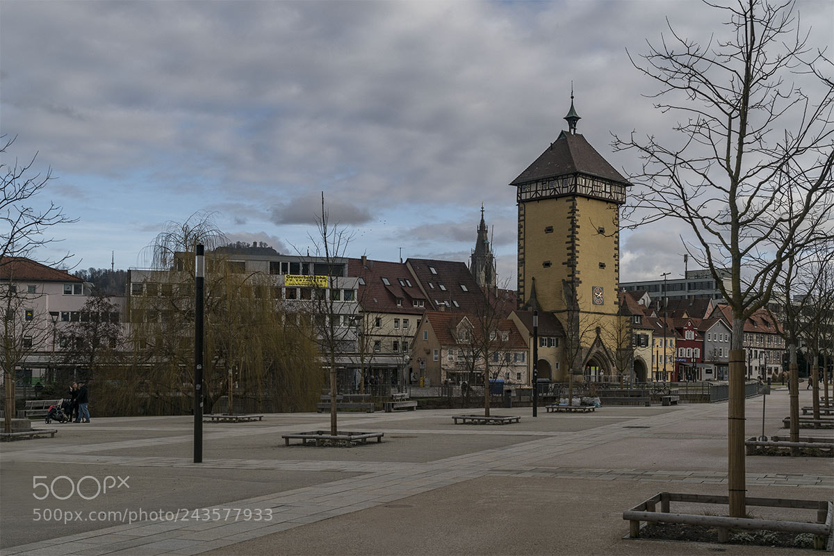 Sony a7R II sample photo. Reutlingen 230118-008 photography