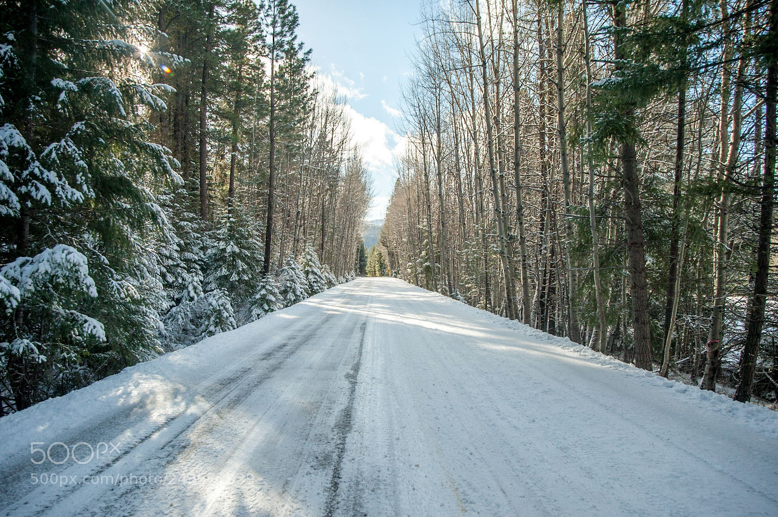Nikon D700 sample photo. Winter's light photography
