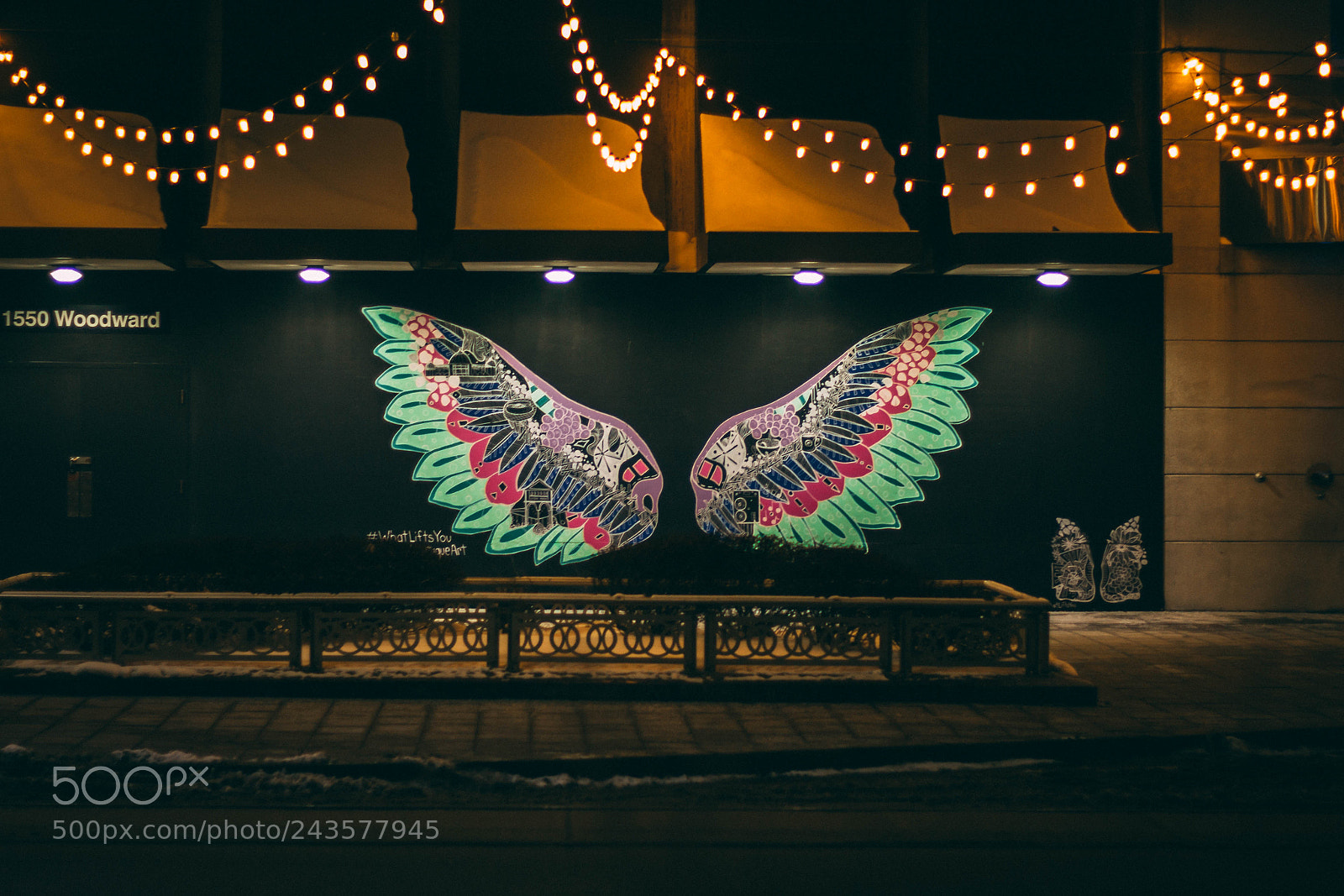 Canon EOS 700D (EOS Rebel T5i / EOS Kiss X7i) sample photo. Butterfly photography