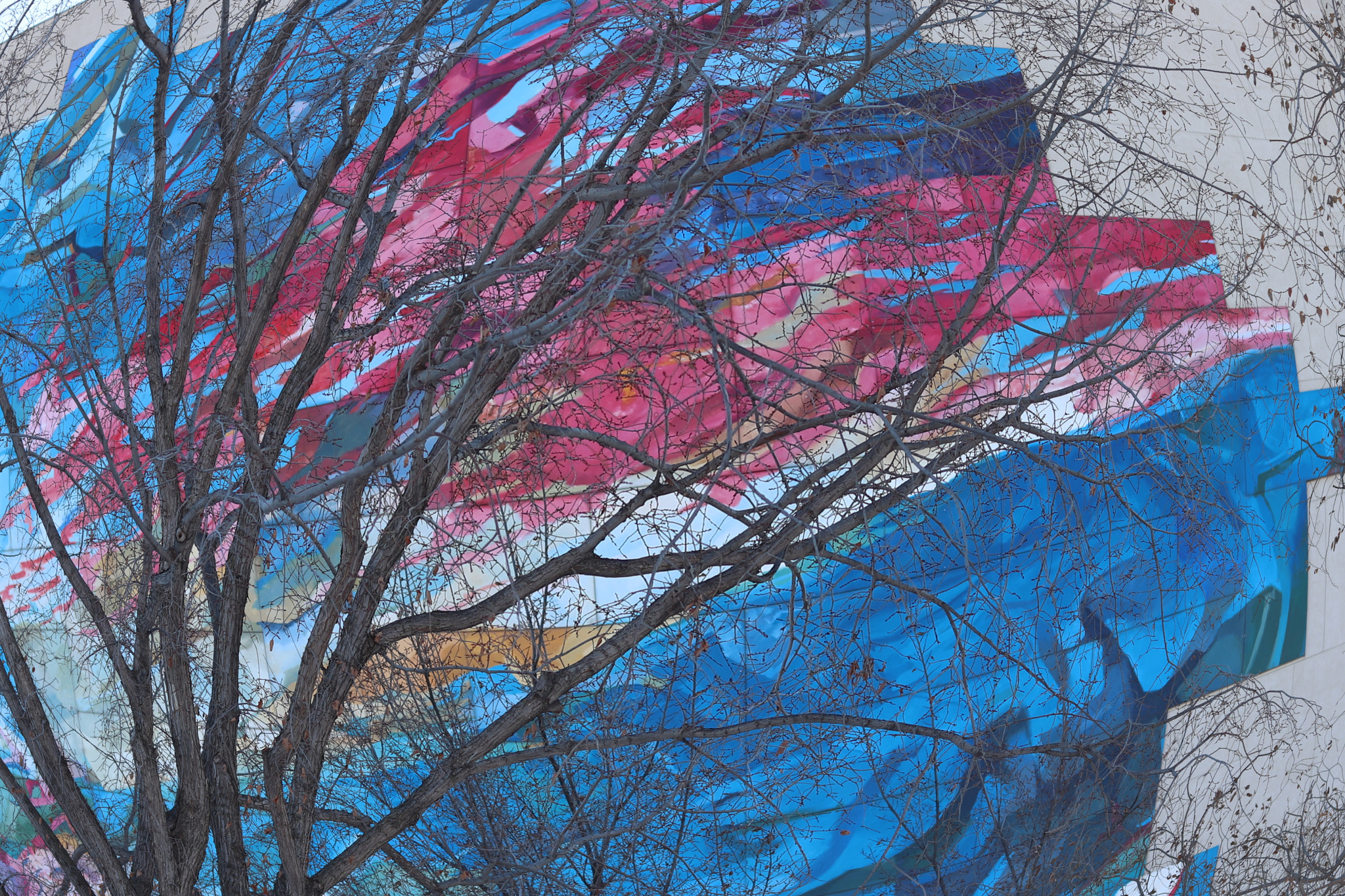 Canon EOS 800D (EOS Rebel T7i / EOS Kiss X9i) sample photo. Real tree branches blends in with a colorful mural. photography
