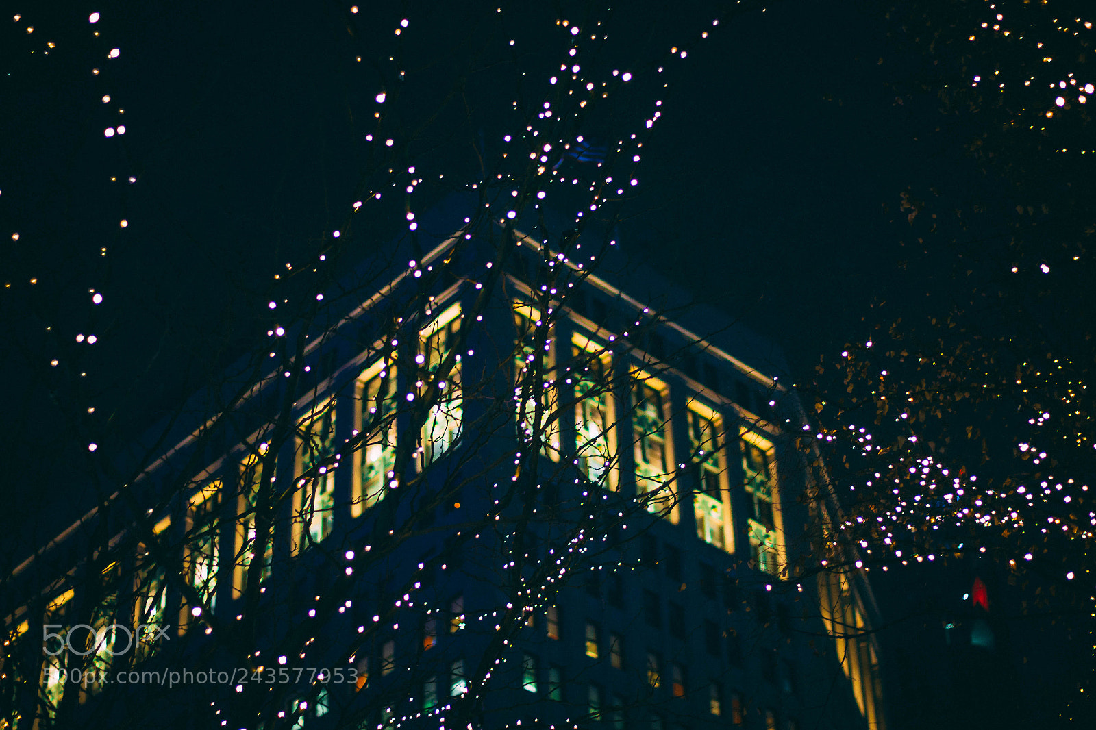 Canon EOS 700D (EOS Rebel T5i / EOS Kiss X7i) sample photo. Building lights 2 photography