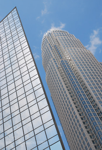 Nikon D60 sample photo. Td photography