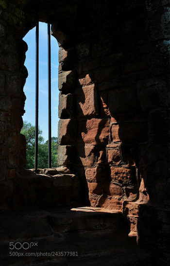 Nikon D60 sample photo. Td photography