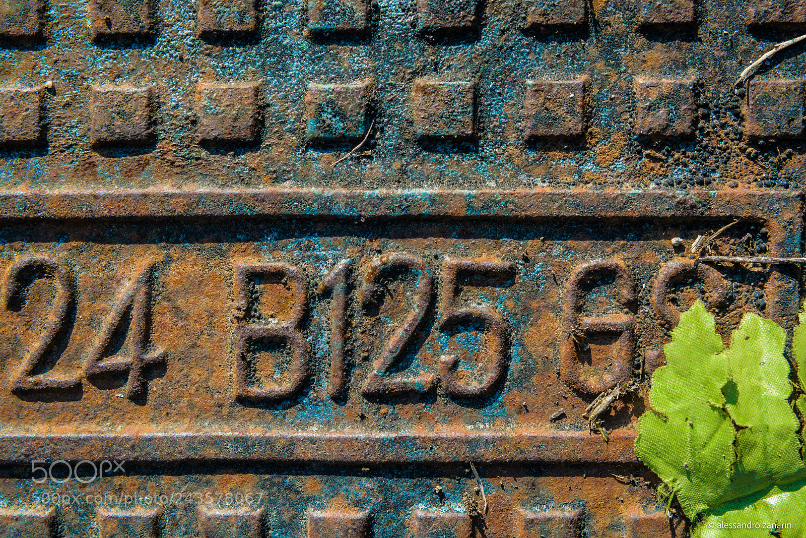 Nikon D7100 sample photo. Rusted cover photography