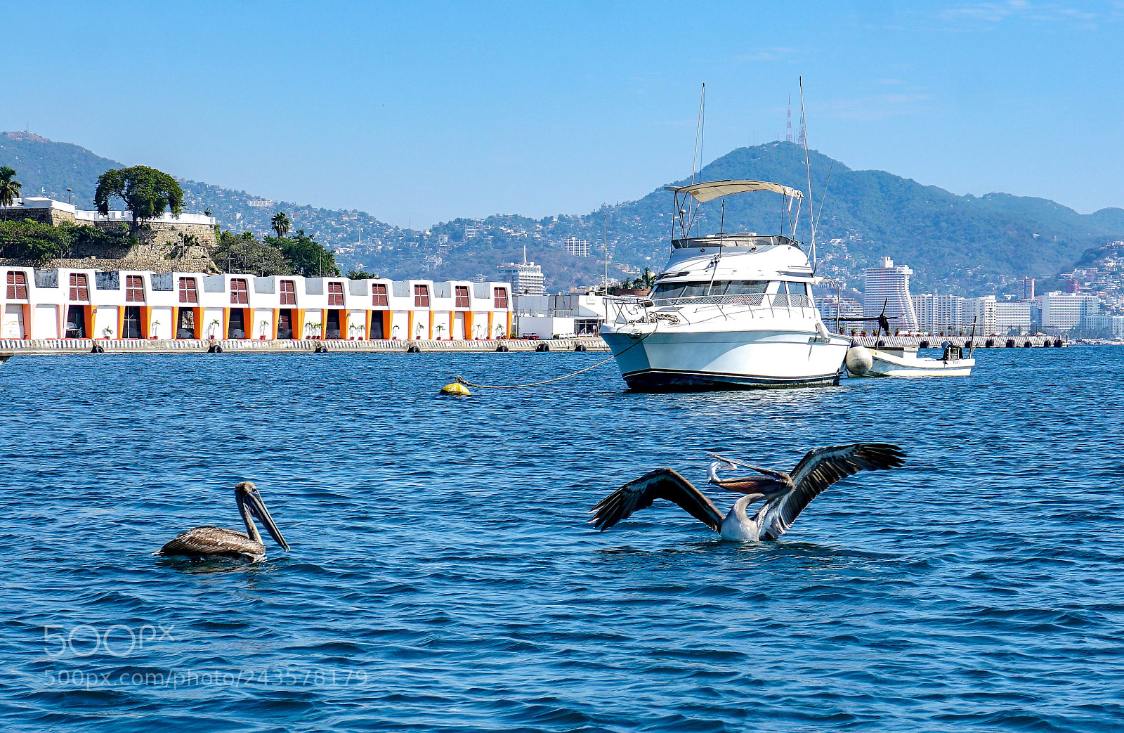 Sony a6300 sample photo. Bragging about the catch photography