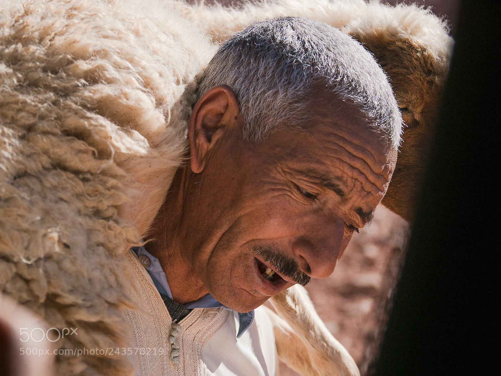 Olympus OM-D E-M1 Mark II sample photo. Morrocco postcards photography