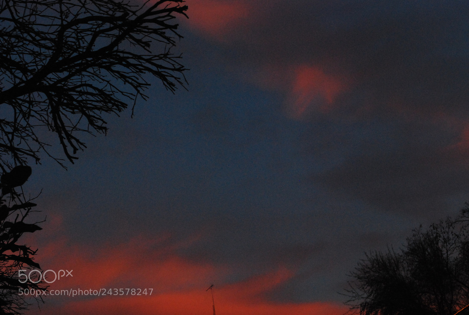 Nikon D60 sample photo. ..live there ? photography