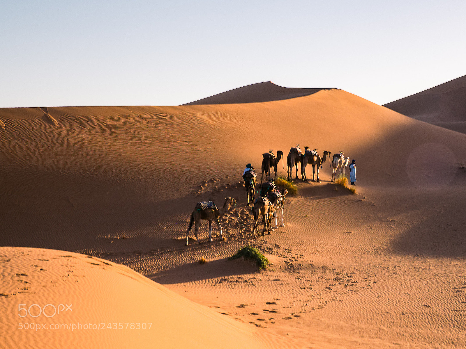 Olympus OM-D E-M1 Mark II sample photo. Morrocco postcards photography