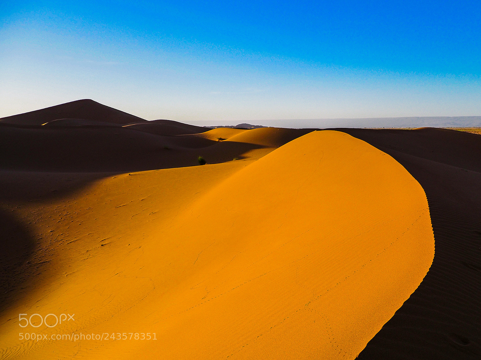 Olympus OM-D E-M1 Mark II sample photo. Morrocco postcards photography