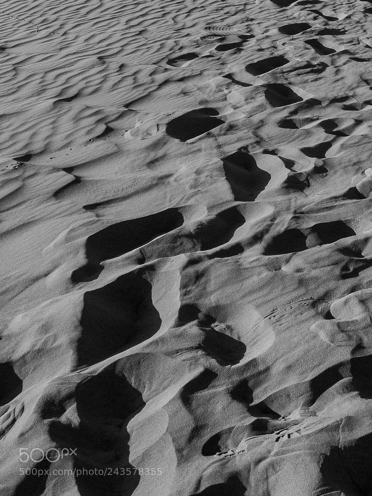 Olympus OM-D E-M1 Mark II sample photo. Morrocco postcards photography