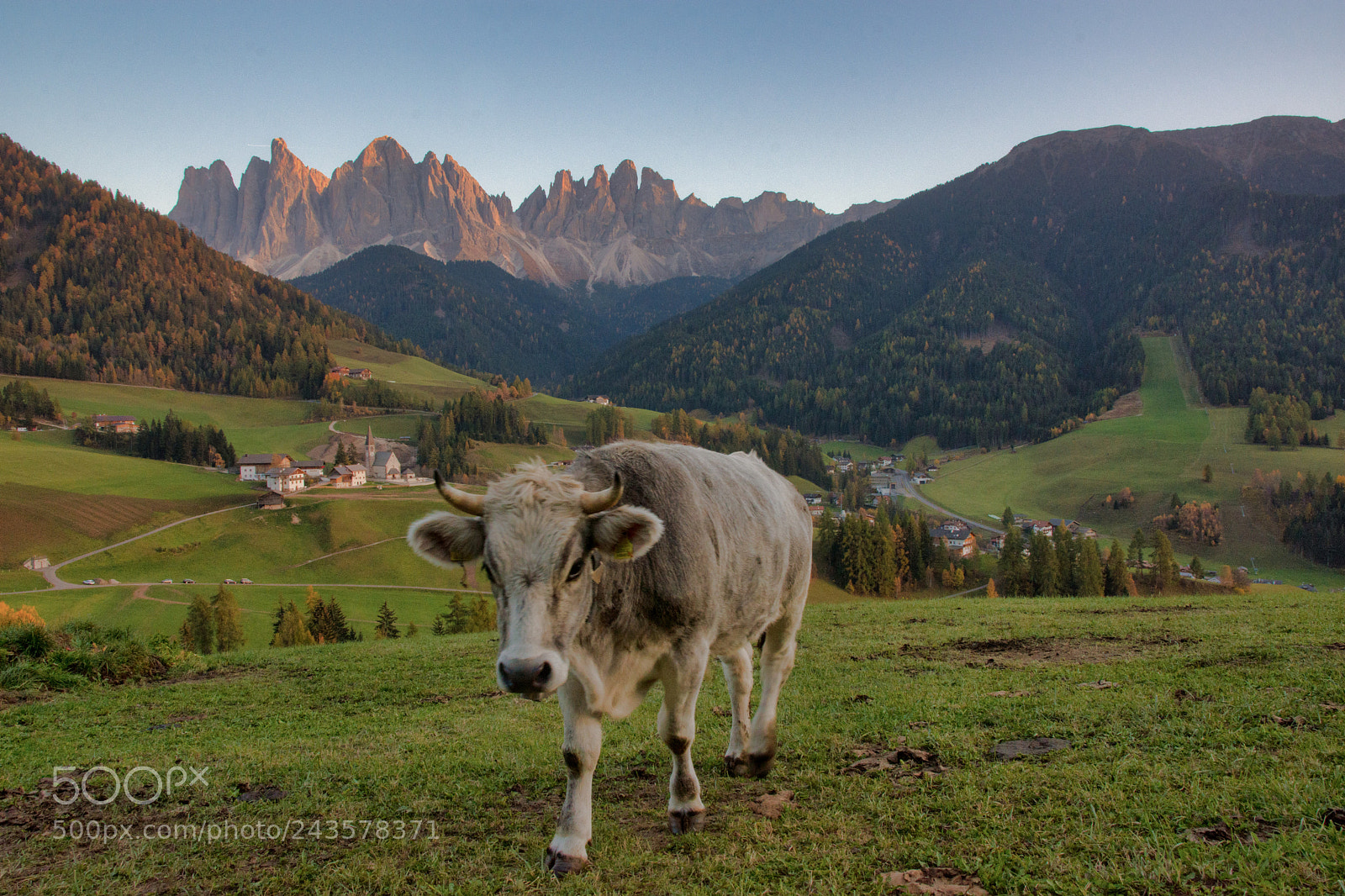 Nikon D7200 sample photo. Val di funes photography