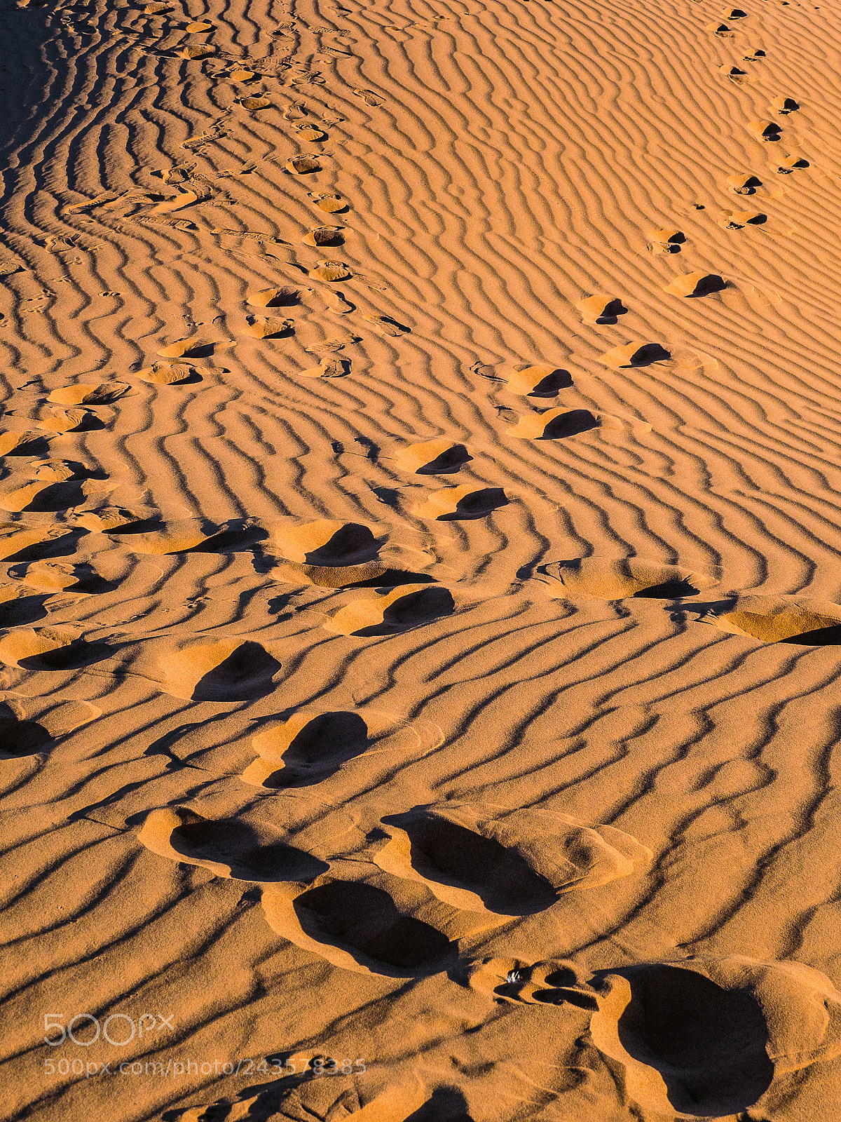 Olympus OM-D E-M1 Mark II sample photo. Morrocco postcards photography