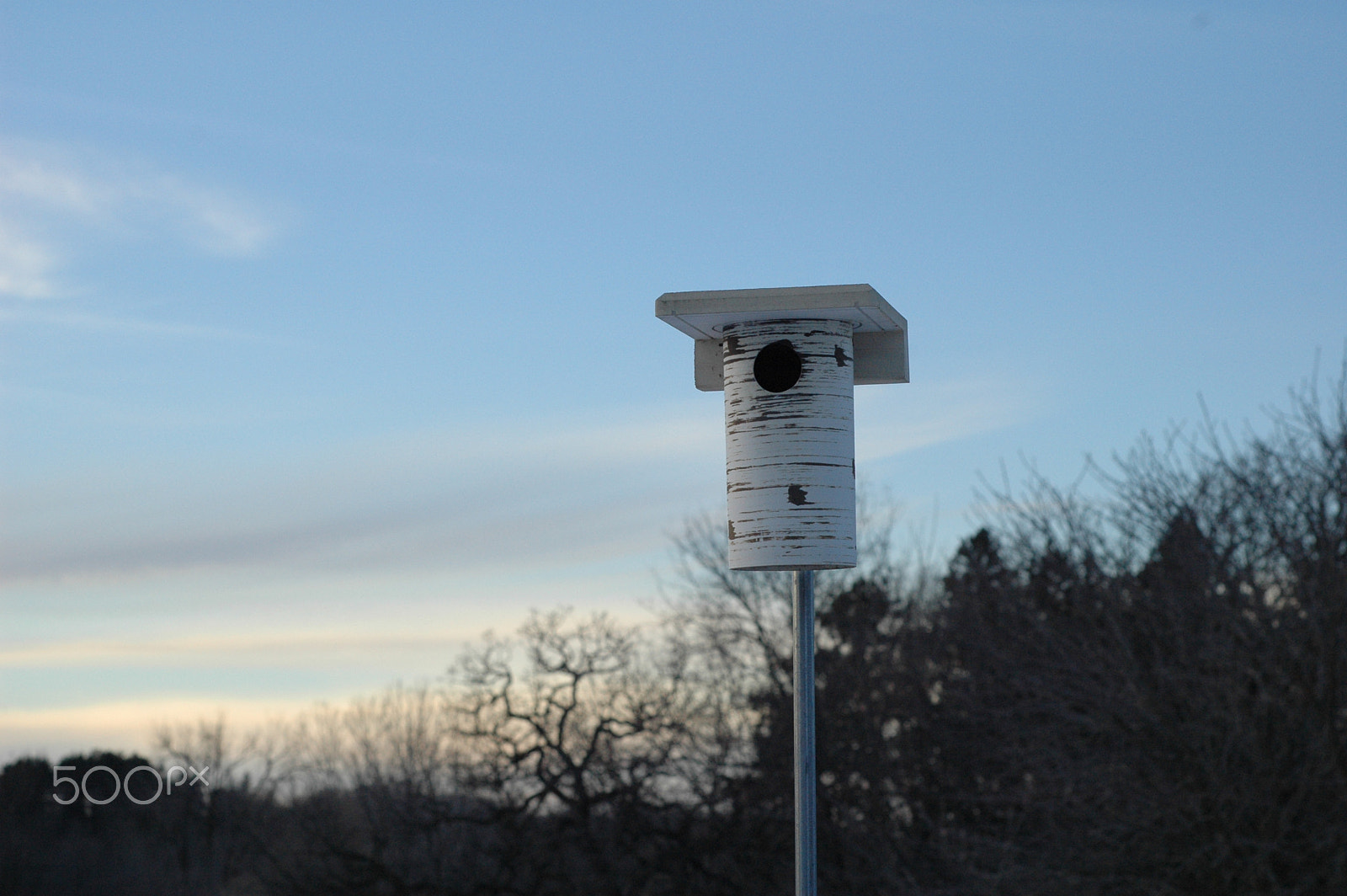 Nikon D70 + Nikon AF Nikkor 50mm F1.8D sample photo. Bird house photography