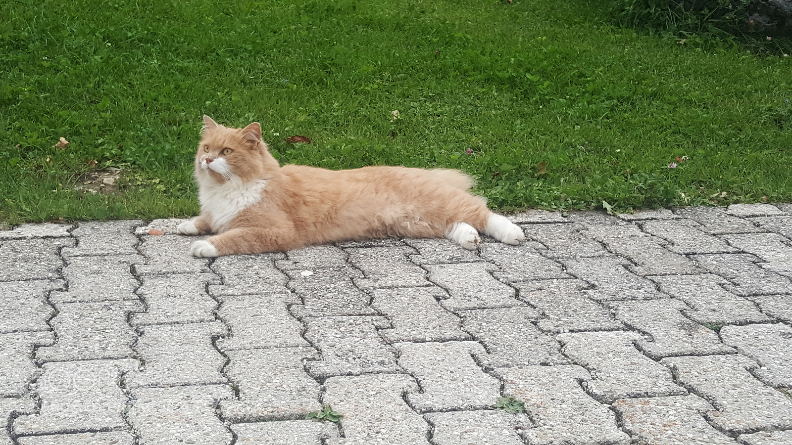 Samsung GALAXY S6 edge sample photo. Urlaub: 2017 photography