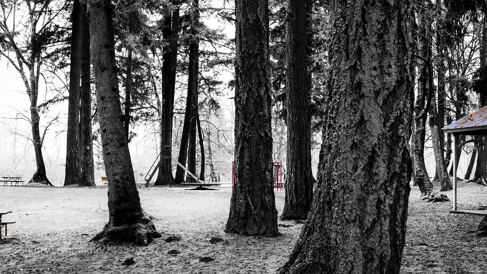 Nikon D800 sample photo. Playground photography
