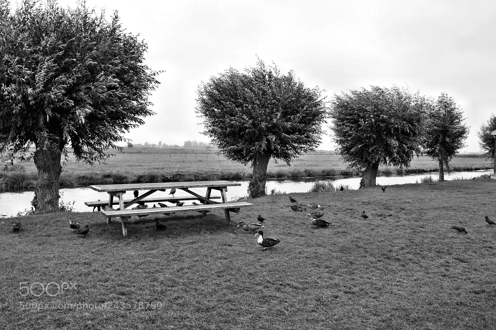 Nikon D3200 sample photo. Quiet. photography