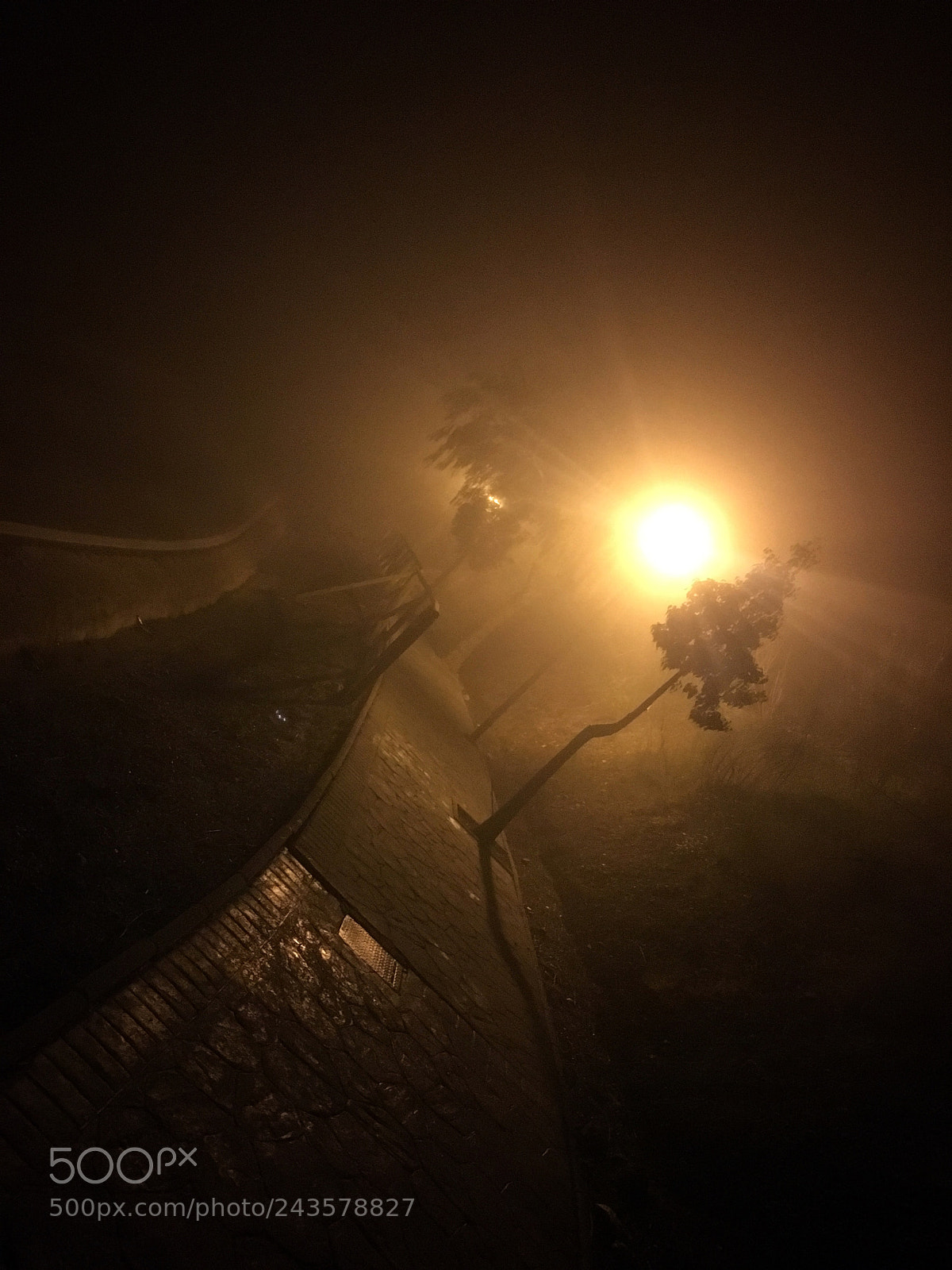 Apple iPhone 6s sample photo. En la niebla photography