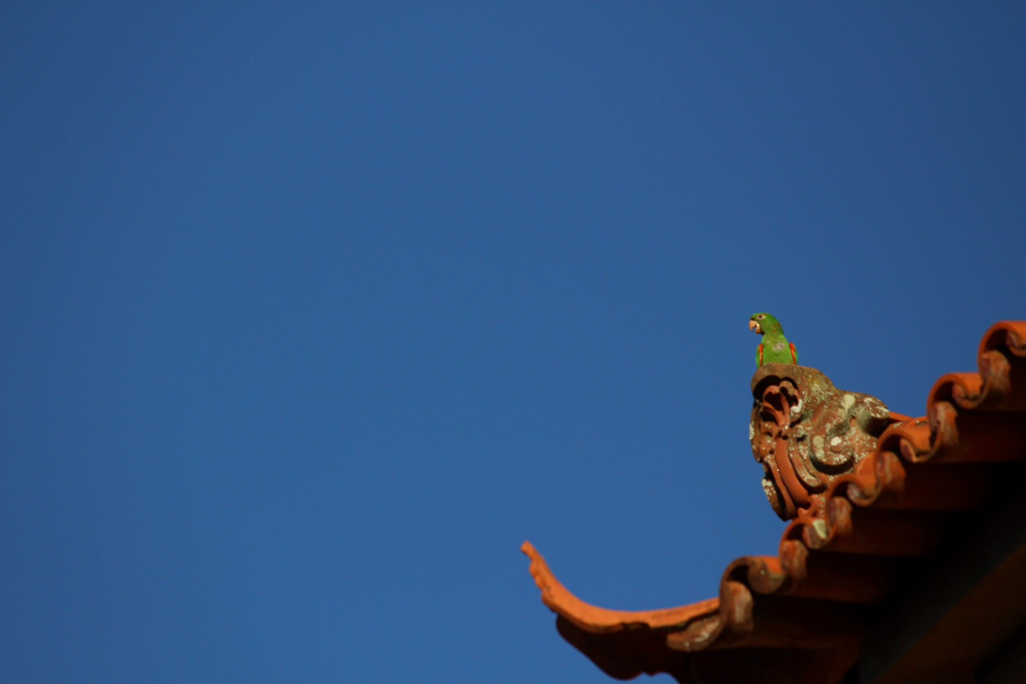 Canon EOS 100D (EOS Rebel SL1 / EOS Kiss X7) sample photo. Leave photography