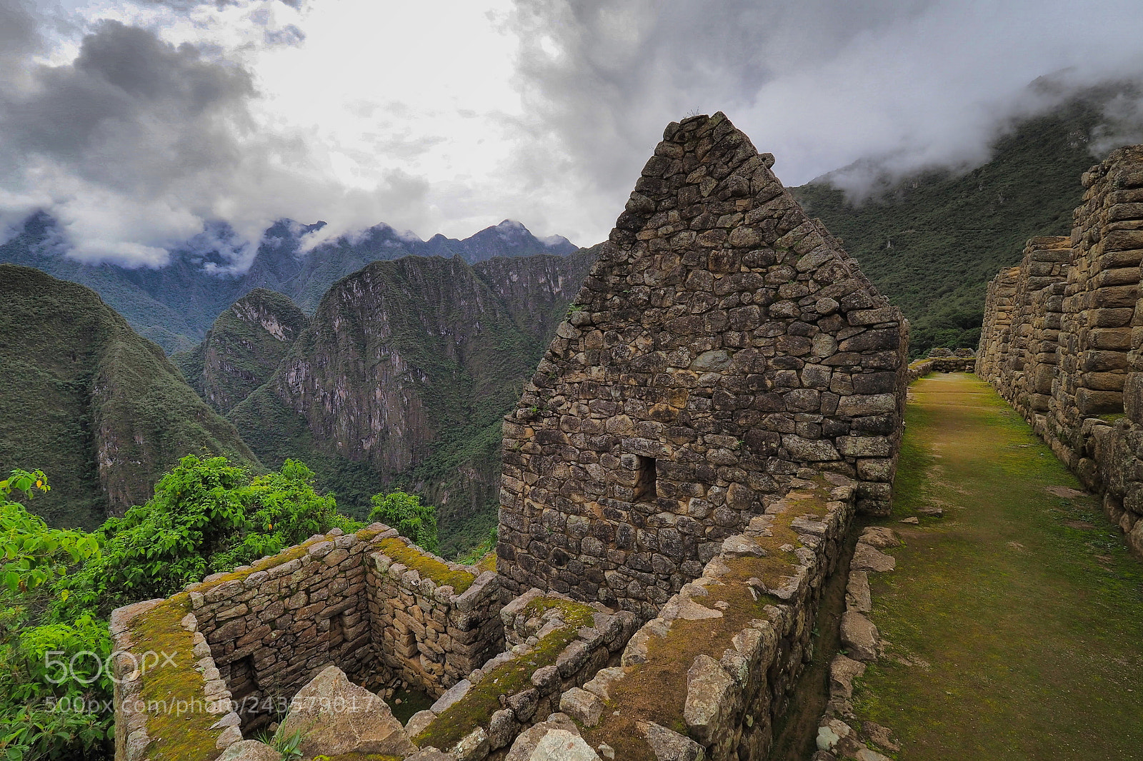 Olympus OM-D E-M5 II sample photo. The view photography