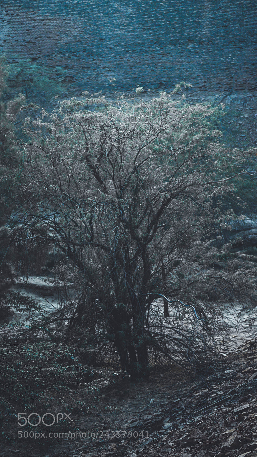Nikon D3200 sample photo. In the wilderness!!! photography
