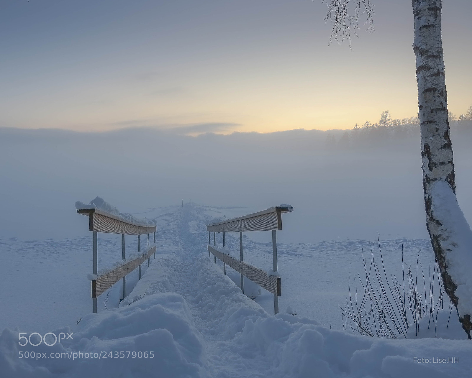 Canon EOS 760D (EOS Rebel T6s / EOS 8000D) sample photo. Winter can be magic photography
