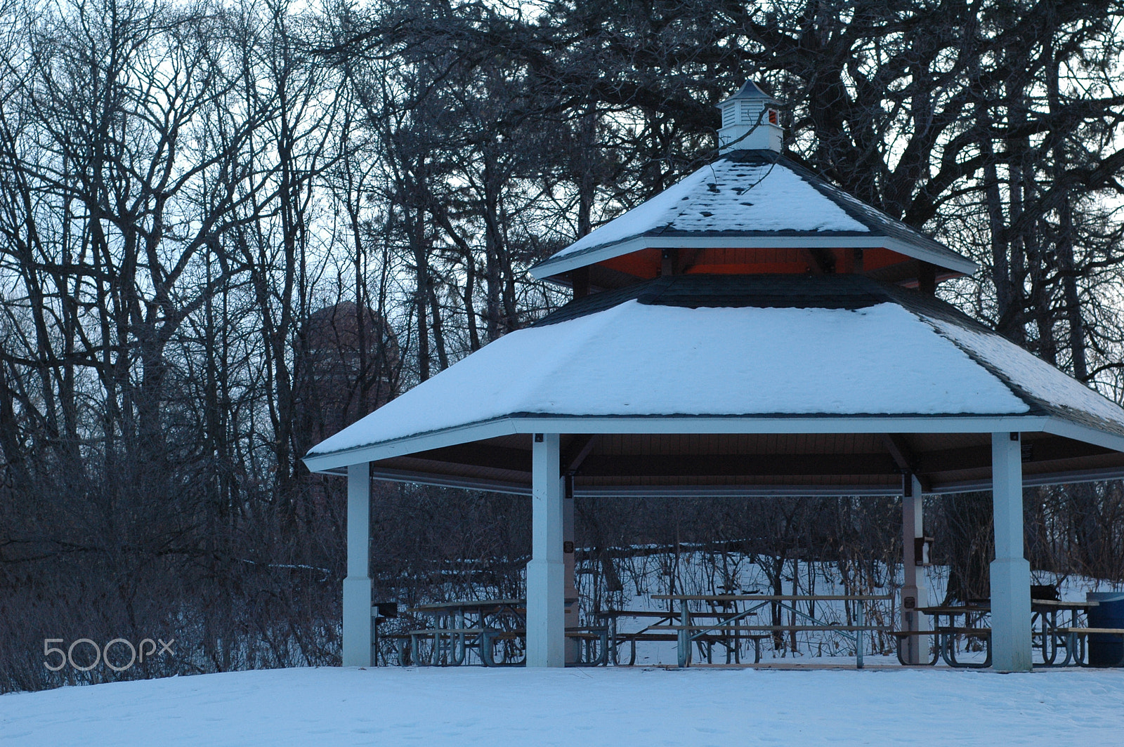 Nikon D70 + Nikon AF Nikkor 50mm F1.8D sample photo. Winter picinic photography