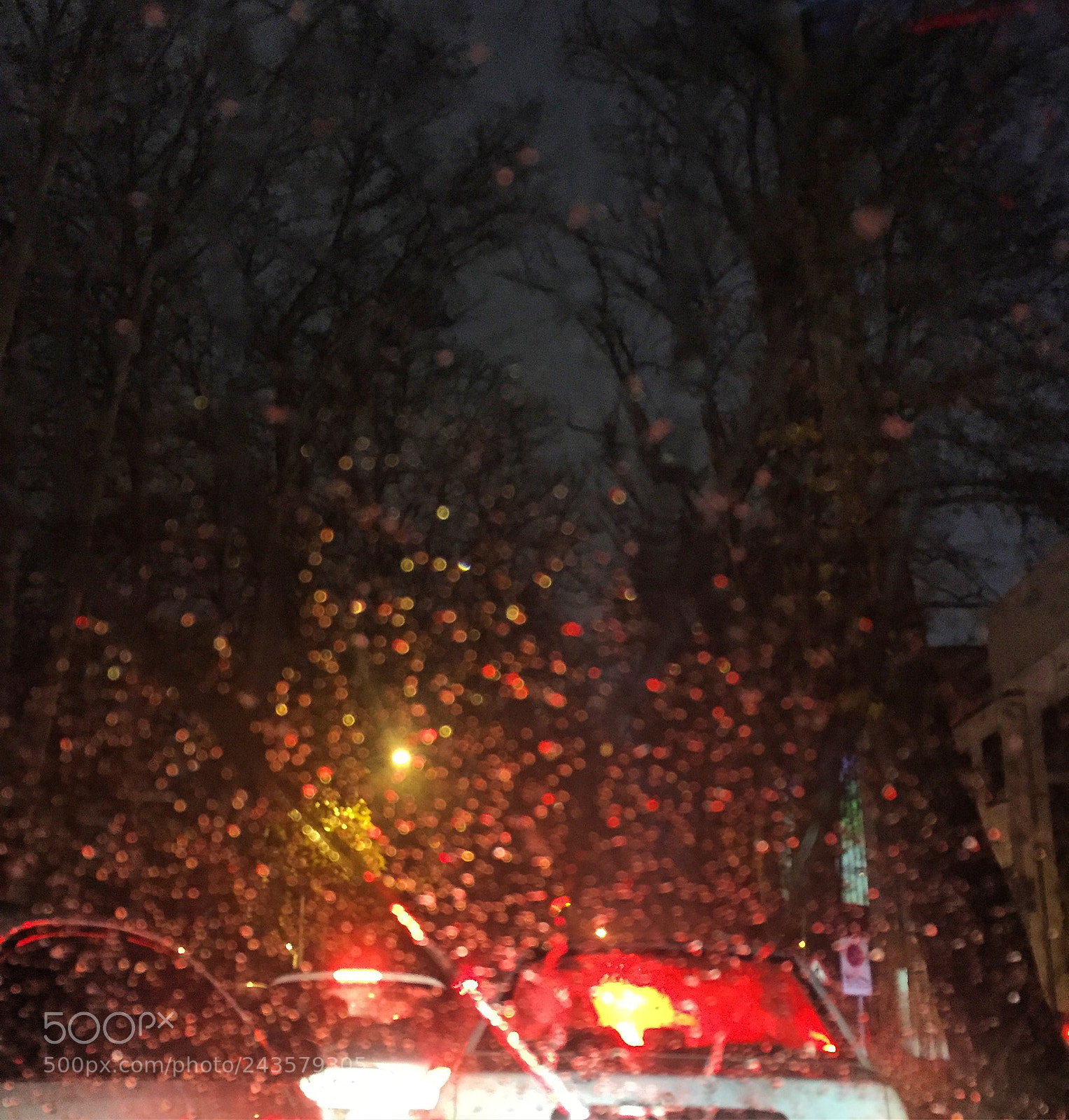 Apple iPhone 6 sample photo. ??? photography